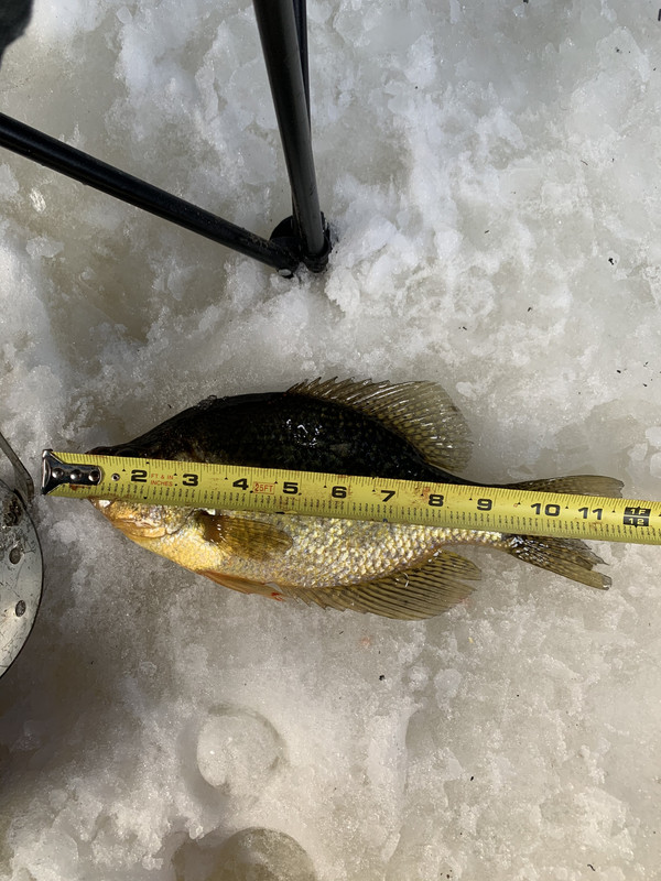 E80F332D-EC61-44EF-815E-0F6BA3BF93EA