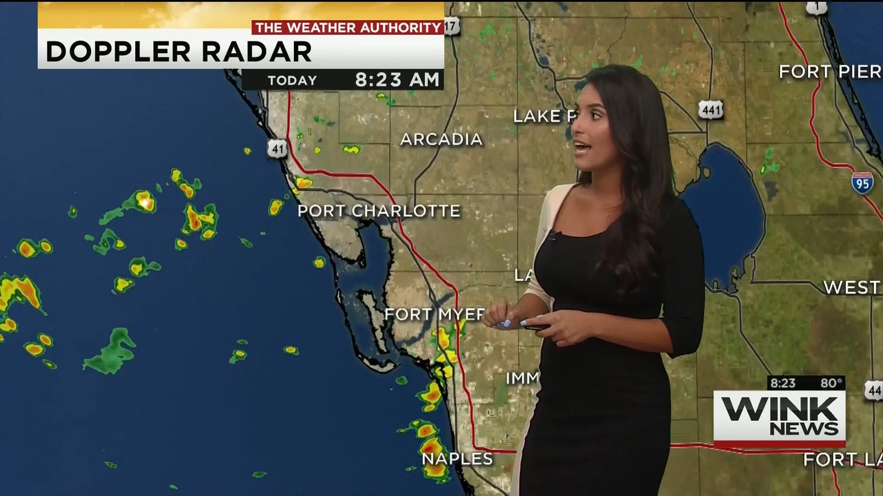 08.16 - 11.00.00 - WINK News @ 6 00AM Sunday..ts_snapshot_00.24.20.295