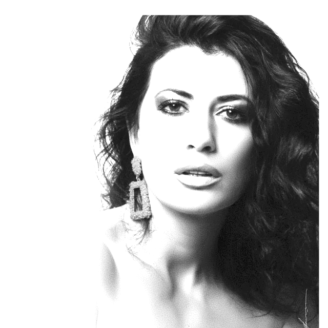 exemple svg calque layer1 transparent grayscale