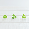 Stock-Icons-New-218