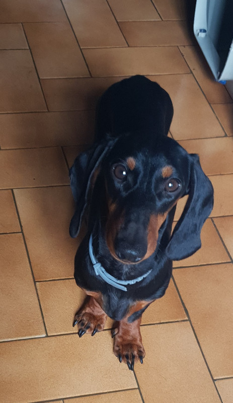 [Image: 20200909-155906.jpg]