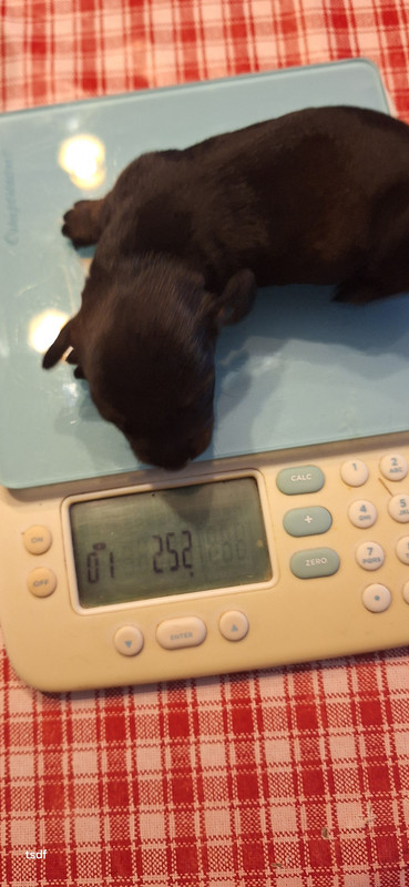 [Image: 20250424-203334.jpg]