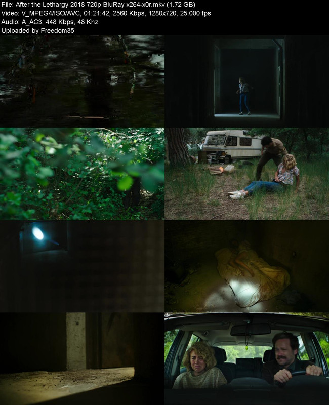 After-the-Lethargy-2018-720p-Blu-Ray-x26