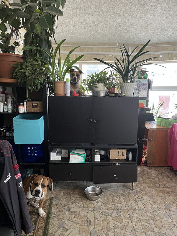 4104C25A-C306-49DC-93D5-1027E1CA1EA8