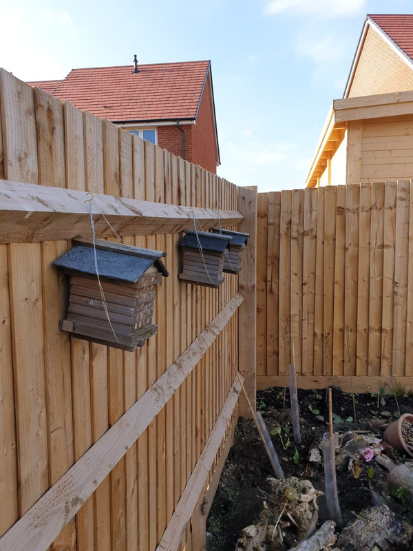 Bee hotels