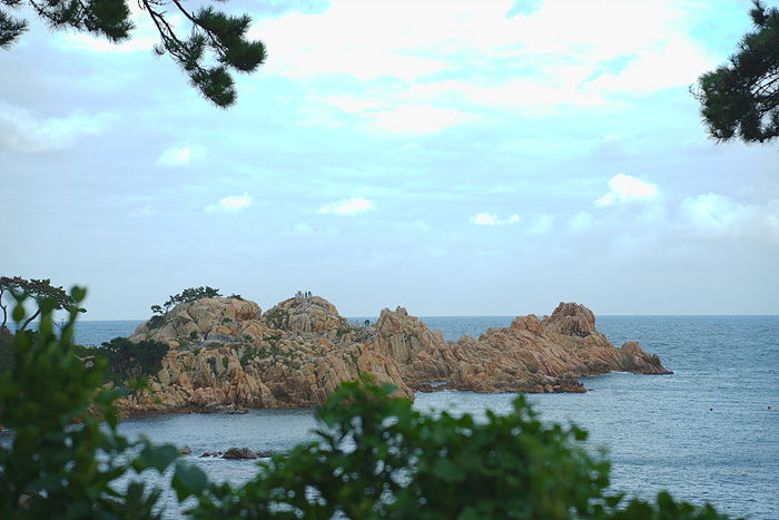 DSC02512