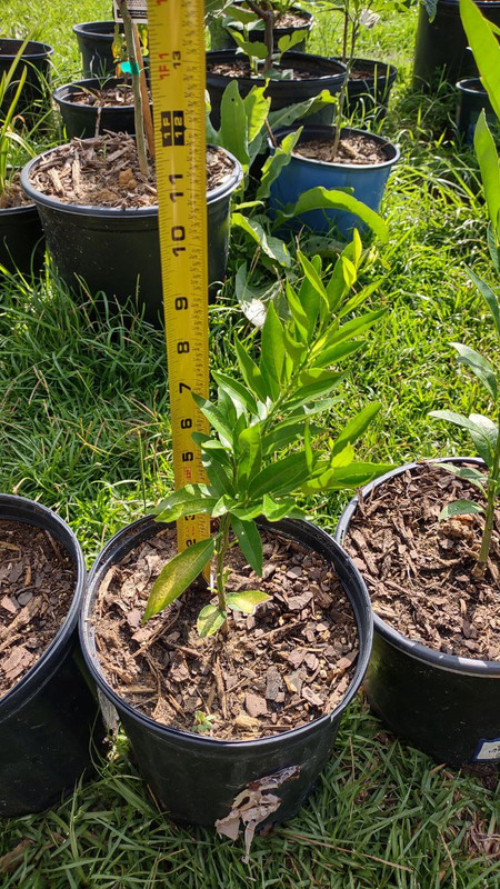 photo_2025-07-23_09-30-08 (6)