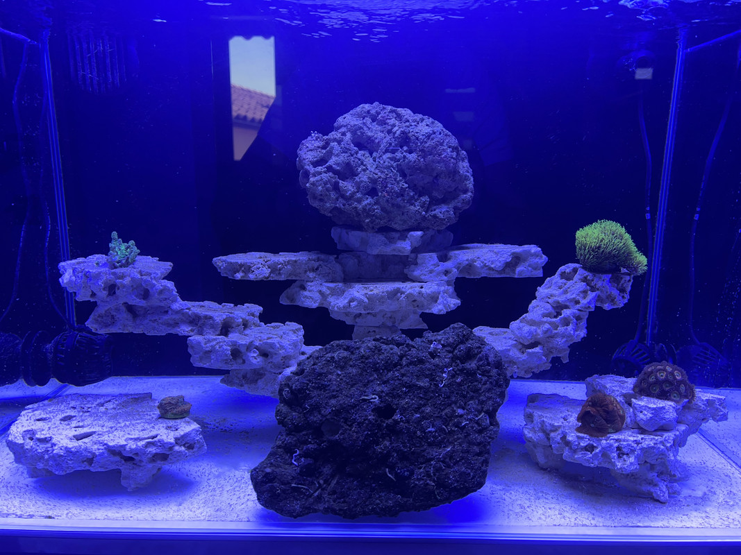 5E1A136F-3987-4A75-83AD-BE1DCDD99865