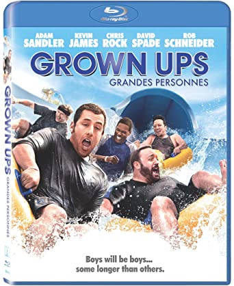 Grown Ups 2010 Hindi Dual Audio 720p BluRay 800MB Download