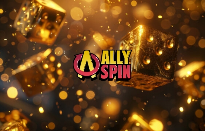 AllySpin Plattformcheck