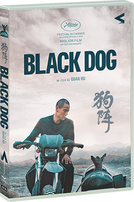 Black Dog (2024) DVD5 COMPRESSO iTA