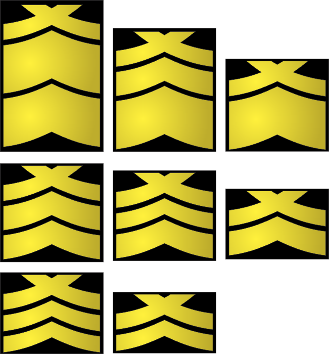 https://i.postimg.cc/wTCCbWvK/si-insignia.png