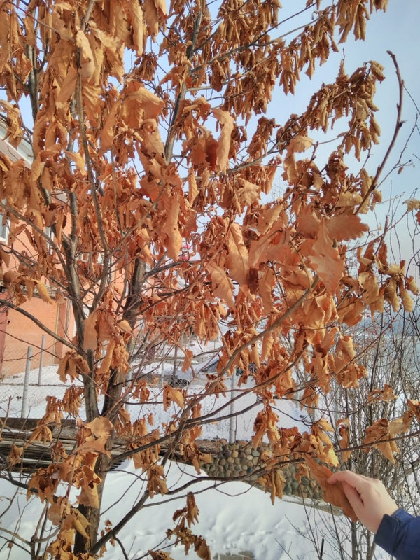 B0F1A39F-1D40-4870-A0F8-410D8D1B737D