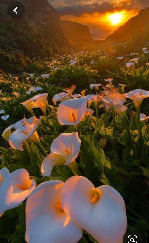 Screenshot_20230405_230132_Pinterest