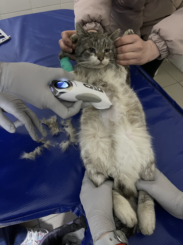 2D42EDBB-401D-49CC-8A58-49B564AE8798