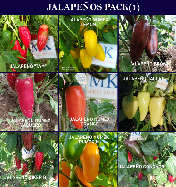 jalapenos-pack1