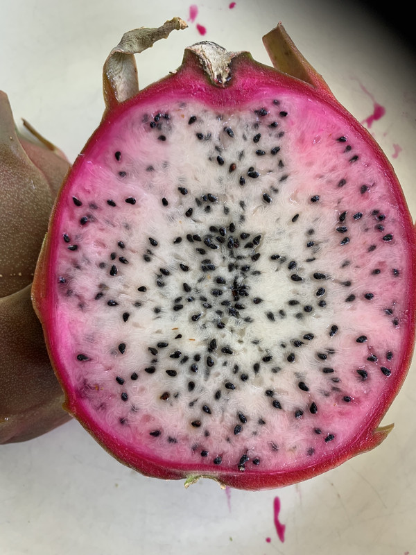 DFC3BD3B-C60B-4198-B8FA-084D229AFC84