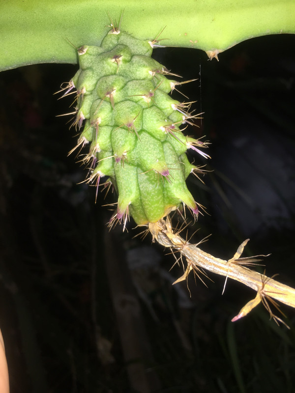 D3BDE999-0E1A-4DB0-AD33-FC31044CC0A1