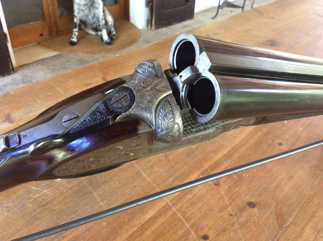 0228D92B-5A09-407A-8C10-A7958BEC6230