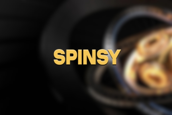 Spincy Online Casino