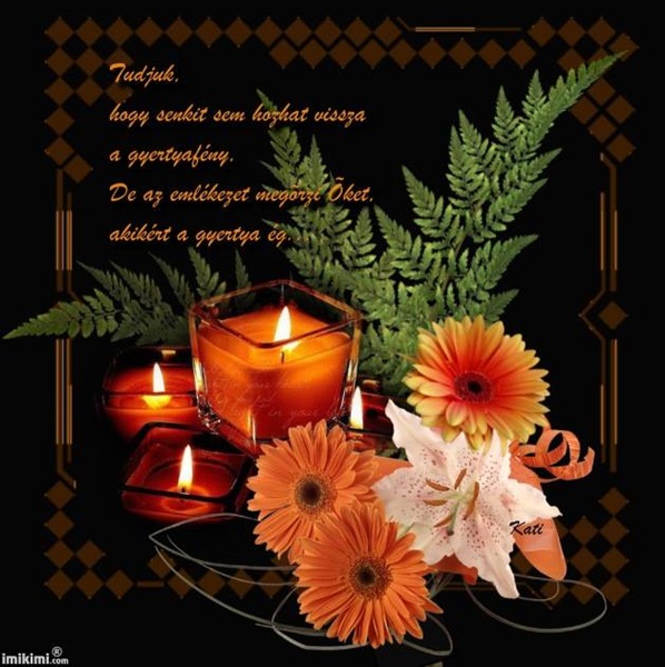 11800159_628472330586517_4483108662725490587_n