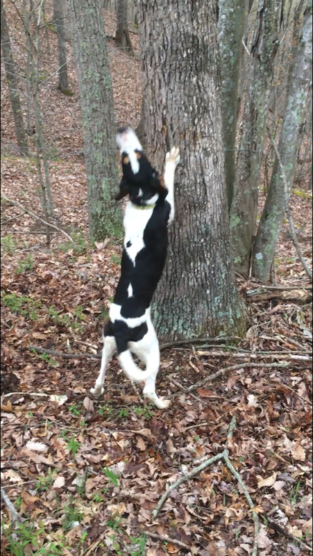 F44320BE-5B68-4A0B-85ED-0E772B809C43