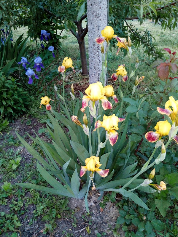 IMG_20190513_201212320