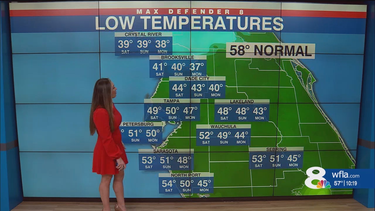 NewsChannel 8 News at 1000pm_20241130_03000330.ts_snapshot_19.55.679