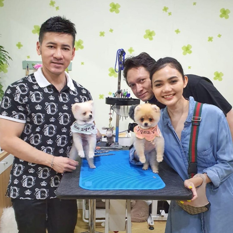 Rina Nose membawa dua anjing peliharaannya untuk grooming