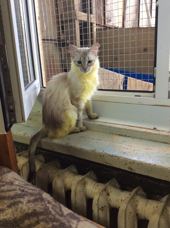 9D1E6340-464C-4616-BBE3-DC5648219945