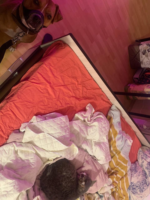 C4958E67-AB18-411E-8729-06894E427598