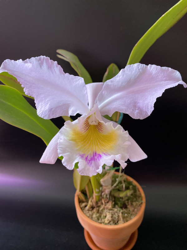 5919C47C-F5FD-4B43-9B5C-D40376A26624