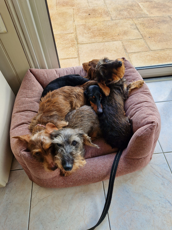 [Image: 20221118-124512.jpg]