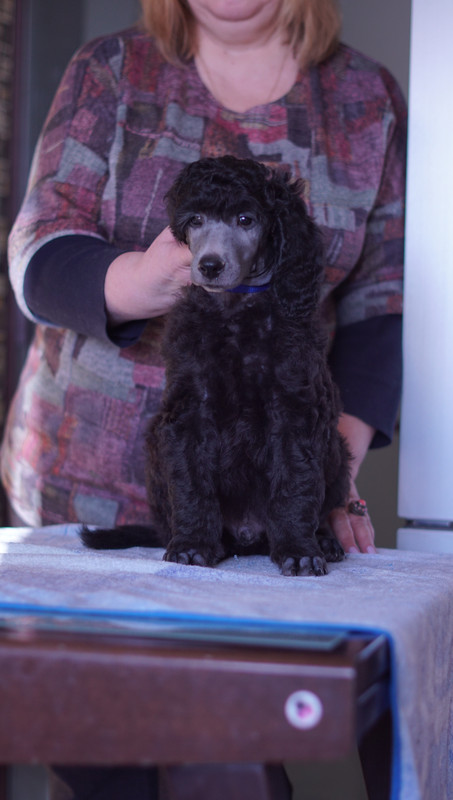 219A6468-AF11-41AC-9CEA-B1A4F426E528