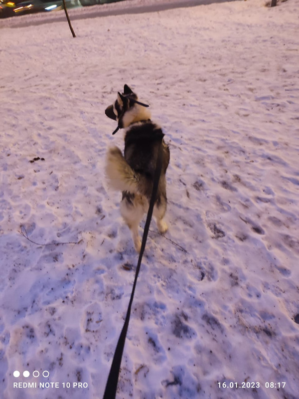 67EB3A81-A661-42CF-8EC3-F5461B0A49BD