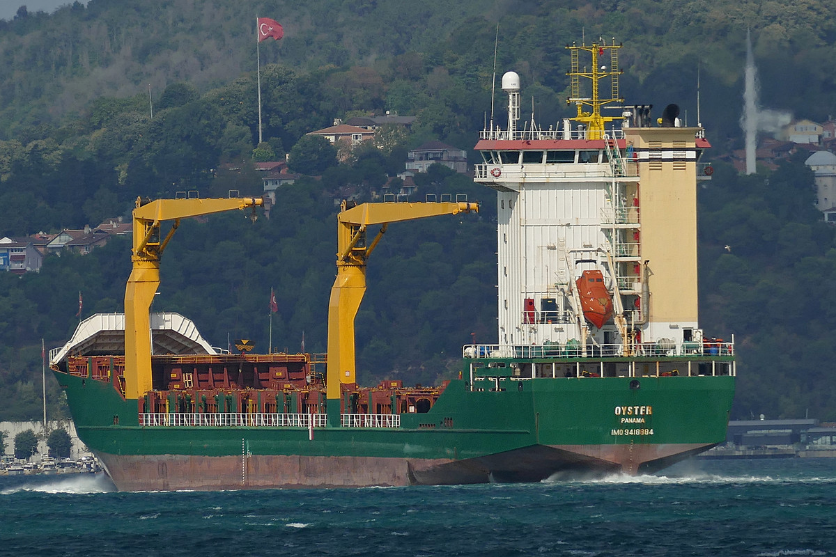 Oyster (OK-060923-3)