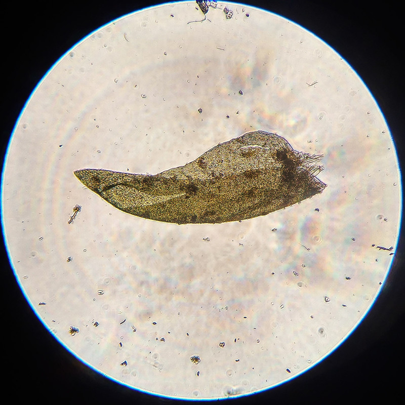 IMG 20250616 220447 HDR