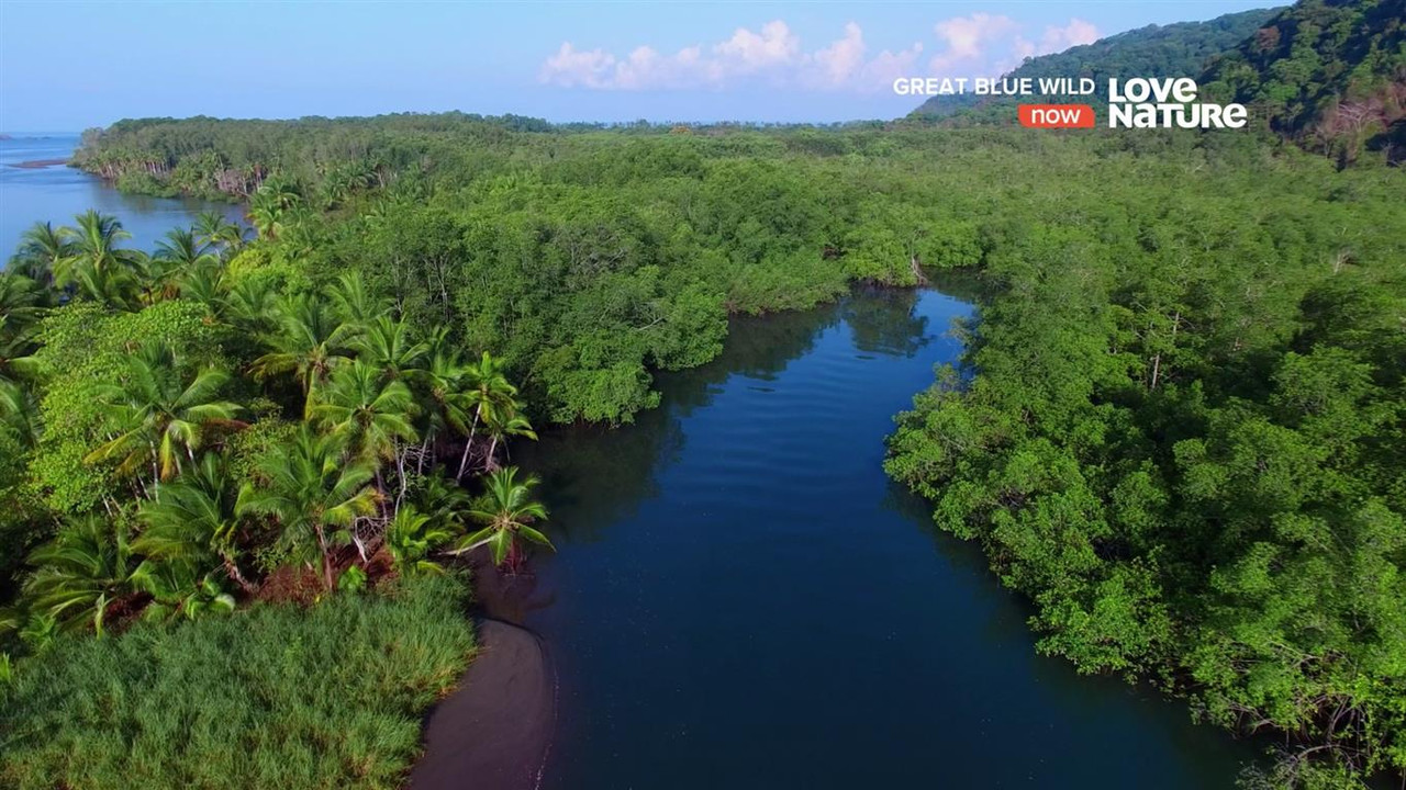 1_0_1_44F_238C_13E_820000_0_0_0_20191008220333