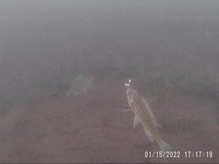 2022_0115_171719_001