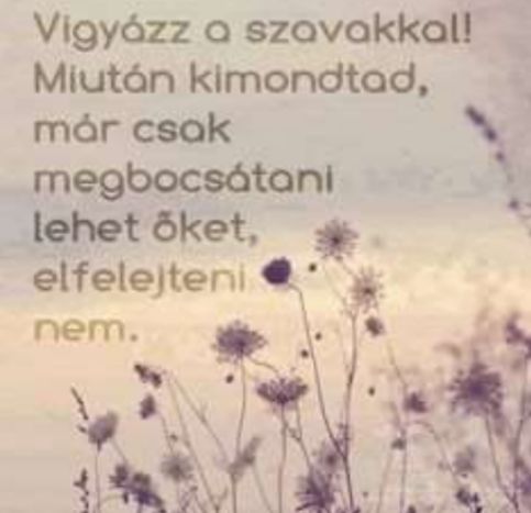 https://i.postimg.cc/wTG8YHJk/vigyazz-aszavakkal.jpg