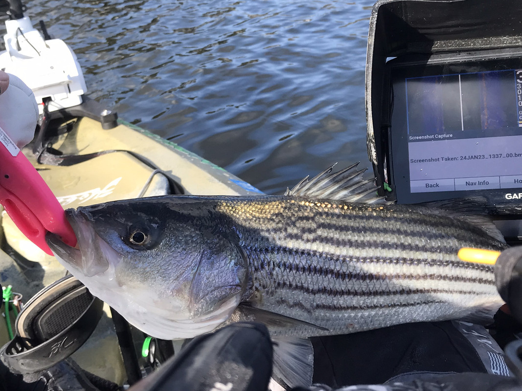 CC7B3EF2-1147-468B-85B8-82A62673C31D