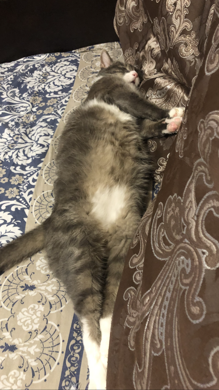 BD2A79A3-D227-4DF1-99E1-7408CAD023A6