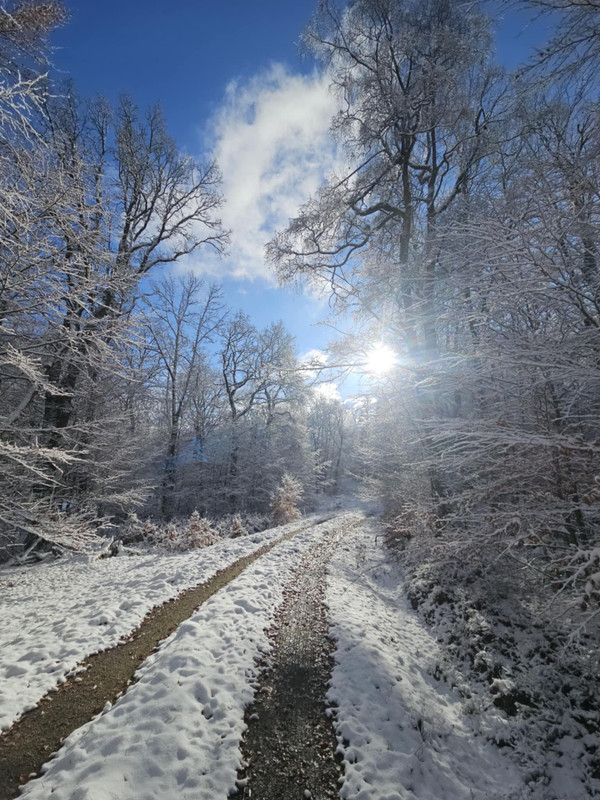 Photo 2025 11 21 001 Fabienne Nicolas