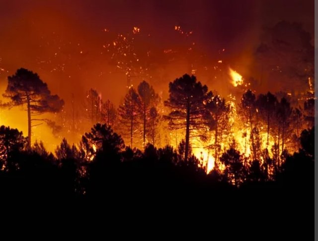 Incendie Incendie