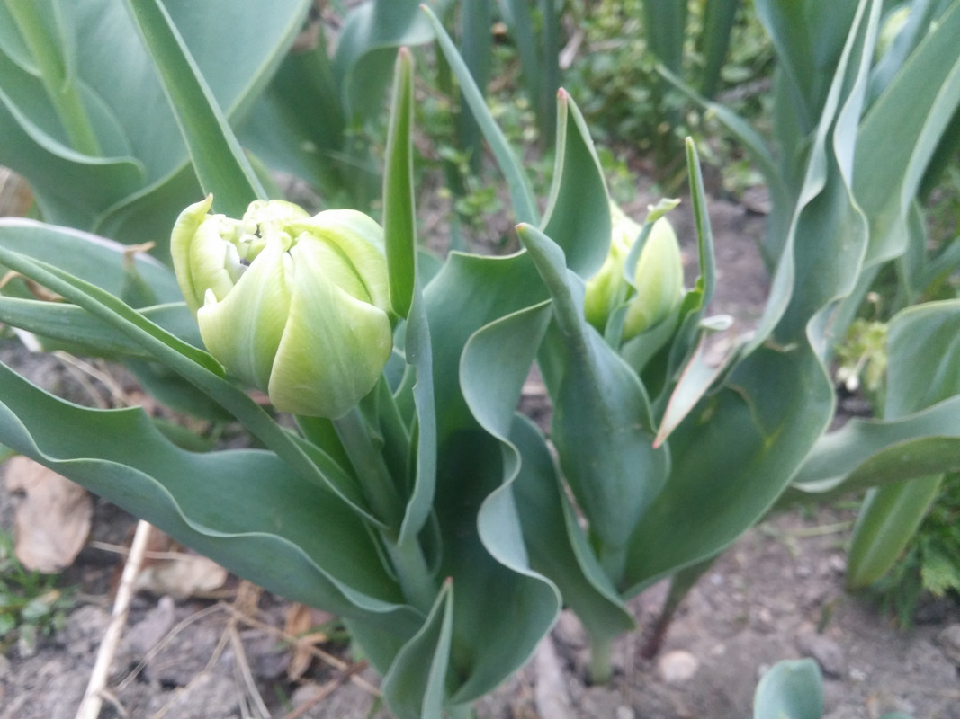20190324_180940