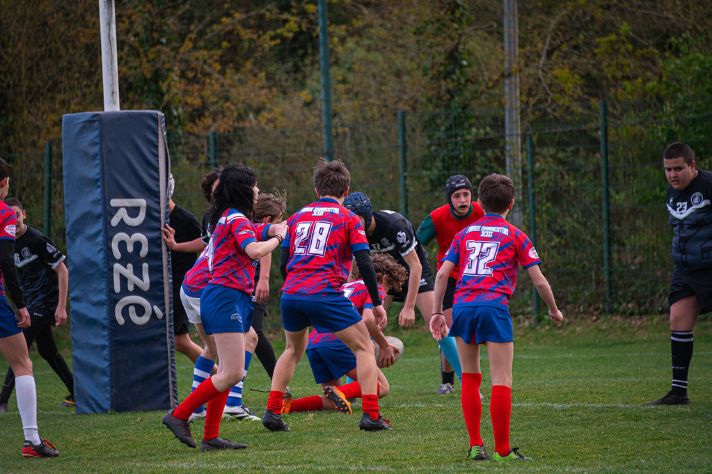 tournoi-de-latlantique-2026-adonis-griffon-268-55181647740-l