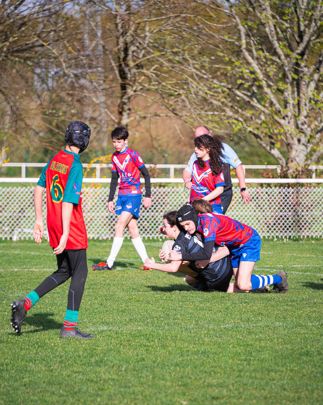 tournoi-de-latlantique-2026-adonis-griffon-262-55181503039-l