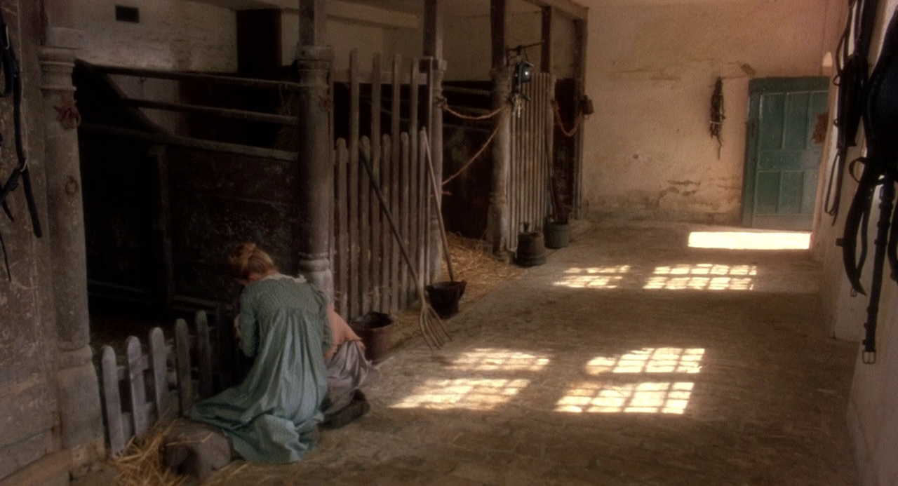 vlcsnap-2023-08-19-12h33m47s655