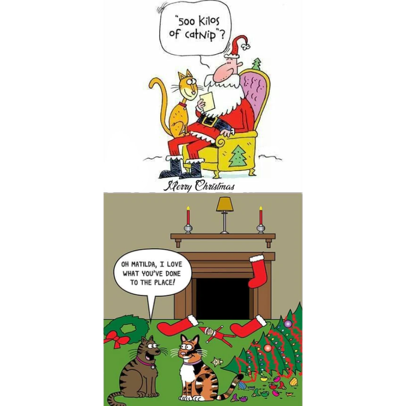 Untitled_Export-XmILDXF0R