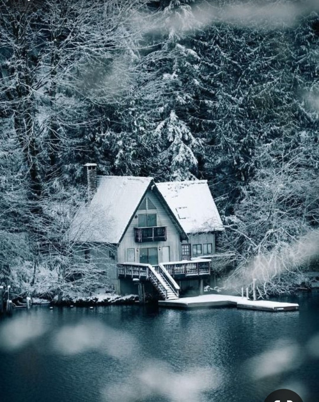 Screenshot_20231213_223948_Pinterest